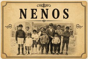 Nenos Categorias